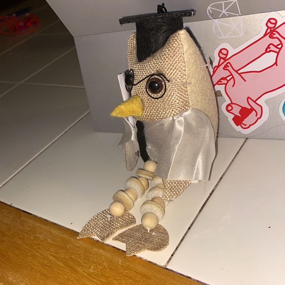 Graduation Owl Gift - Picture 2 of 2